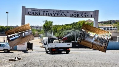 Şap Virüsü Diyarbakır’da Önlem Alarmı Verdi