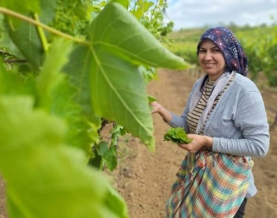 Sarıgöl’de evlerde salamura yaprak zamanı