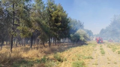 Sazlıkta Başlayan Yangın Ağa&ccedil;lık Alana Sı&ccedil;radı