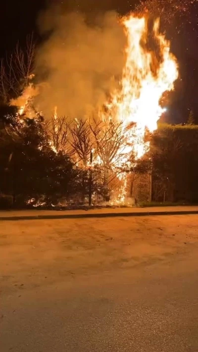 Sebepsiz yere ateşe verilen ağa&ccedil; itfaiyeyi harekete ge&ccedil;irdi