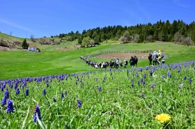 Şehrin g&uuml;r&uuml;lt&uuml;s&uuml;nden yaylalara ka&ccedil;tılar