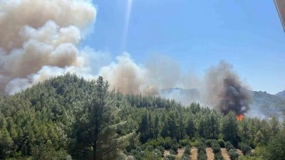 Serik’te orman yangını