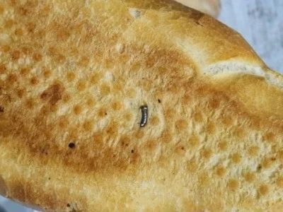 Siirt'te Ekmekten Çivi Çıktı