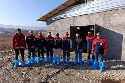 Siirt’te Hayvancılığa Destek: Angus Gebe Düve Dağıtımları Devam Ediyor