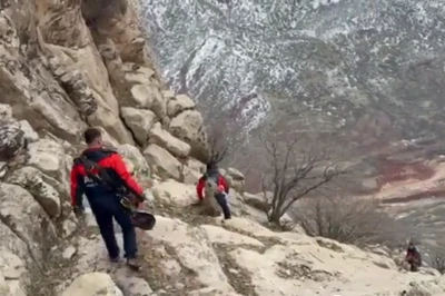 Siirt&rsquo;te Kayalıklarda Mahsur Kalan &Ccedil;oban ve 9 Ke&ccedil;i AFAD Tarafından Kurtarıldı