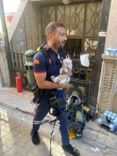 Siirt&rsquo;te yangında mahsur kalan kediyi itfaiye ekipleri kurtardı