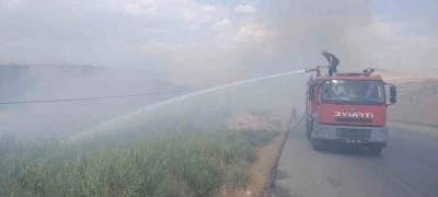 Siirt &Uuml;niversitesi Kezer yerleşkesi yakınlarında &ouml;rt&uuml; yangını
