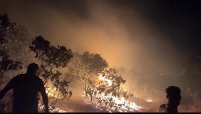 Silvan’da Orman Yangını Korkuttu: Alevler Yerleşim Yerlerine Dayandı