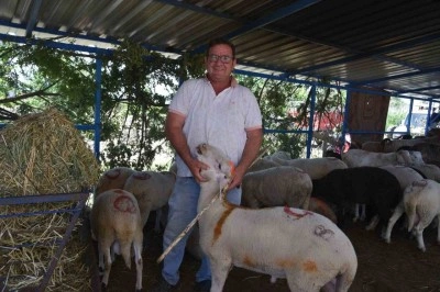 Sındırgı kurban pazarında arefe yoğunluğu yaşandı