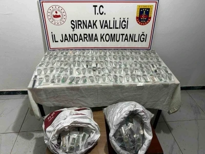 Şırnak&rsquo;ta 14 milyonluk ka&ccedil;ak &uuml;r&uuml;n ele ge&ccedil;irildi