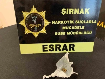 Şırnak&rsquo;ta 5 milyon liralık ka&ccedil;ak malzeme ele ge&ccedil;irildi