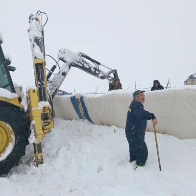 Sivas’ta Kar Felaketi: Çadır Çöktü, 8 Koyun Telef Oldu