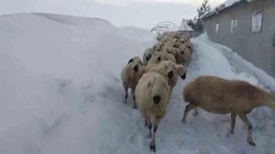Sivas&rsquo;ta kar kalınlığı yer yer 2 metreyi aştı