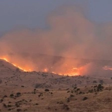 Örtü yangınına ekiplerin müdahalesi sürüyor