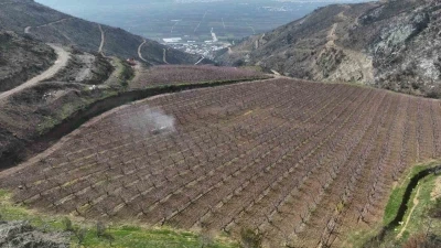 Siyahların ardında a&ccedil;an pembe şeftali &ccedil;i&ccedil;ekleri