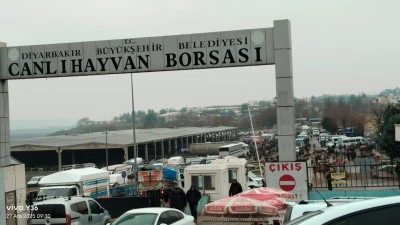 Soğuk Hava Etkisini G&ouml;sterdi Ama Diyarbakır Canlı Hayvan Borsası Durmadı