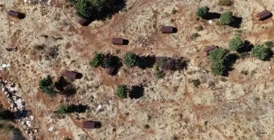 Sokak hayvanlarına sıcak yuva