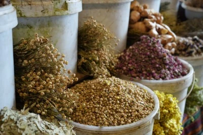 Sonbahar Diyarbakır’a bereket getirdi: Aktarlarda yoğunluk yaşanıyor