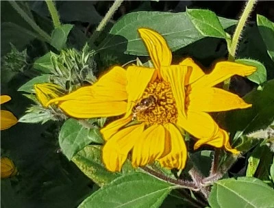 Sonbaharda Karacadağ’ın Renk Cümbüşü