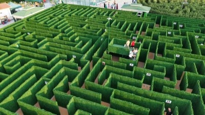 Soruları bilemeyen labirentten katılımcılar çıkamıyor