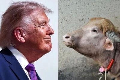 Sosyal Medyada &ldquo;Donald Trump Sa&ccedil;lı Manda
