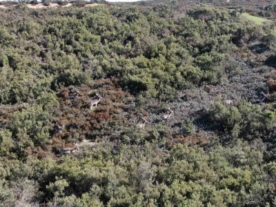 Sosyal medyada paylaşıldı