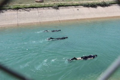 Sulama Kanalına Düşen 10 Yaşındaki Çocuk Hayatını Kaybetti