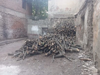 Sur’da Yıkılan Binaların Yerinde Çevre Kirliliği ve Haşere Sorunu