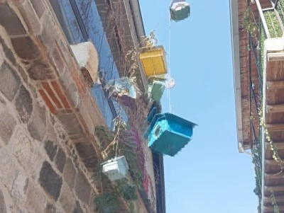 Sur’un Taş Sokaklarına Renkli Dokunuş