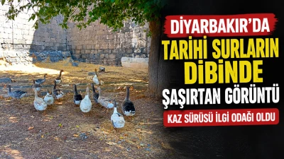 Tarihi surların dibinde şaşırtan g&ouml;r&uuml;nt&uuml;