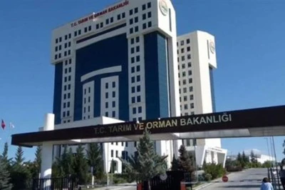 Tarım Bakanlığı Sahte Gıdaları Açıkladı