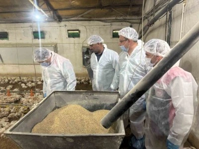 Tarım Müdürü Koçaker, etlik piliç üretimi yapılan tesislerde incelemede bulundu