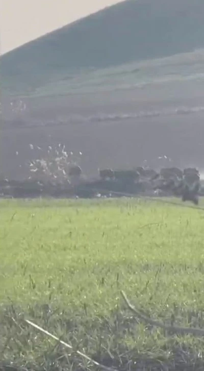 Tarladan Ge&ccedil;en Domuz S&uuml;r&uuml;s&uuml; Kamerada