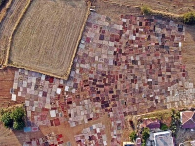 Tarlalarda milyonluk nöbet