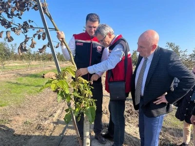 Tekirdağ’da 1400 Dekarlık Ceviz Bahçesine Ziyaret
