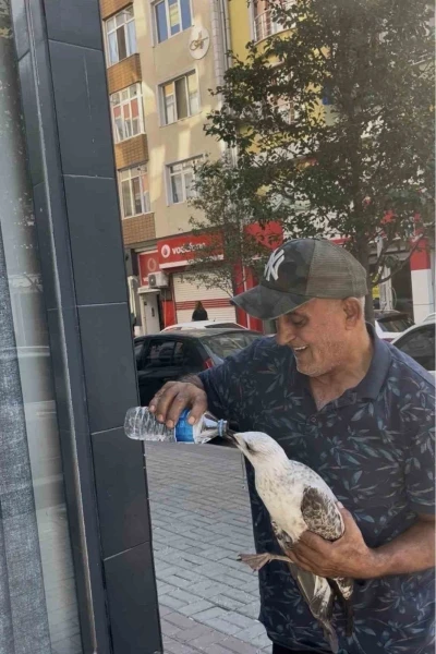 Tekirdağ&rsquo;da bitkin d&uuml;şen martı kolunu ısırdı şefkatini eksik etmedi