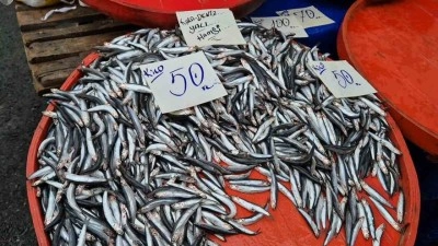 Hamsinin kilosu 50 liraya kadar düştü