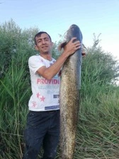 Balığı timsah sandılar