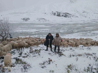 Tipi vurdu heyelan yolu kapattı, 2 &ccedil;oban ve yaklaşık 650 k&uuml;&ccedil;&uuml;kbaş hayvan yaylada mahsur kaldı
