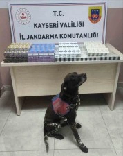 Tırdan 560 paket kaçak sigara ele geçirildi
