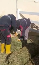 TJK Şanlıurfa Hara ve Aşım İstasyonu&rsquo;nda skandal g&ouml;r&uuml;nt&uuml;ler