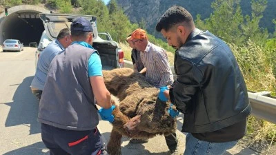 T&uuml;nelde başlayan yaşam m&uuml;cadelesi &ccedil;ayda son buldu