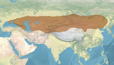 Türk milletinin soyu nereden gelmektedir?