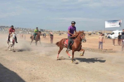 Türkiye’nin şampiyon atları Menemen’de yarıştı