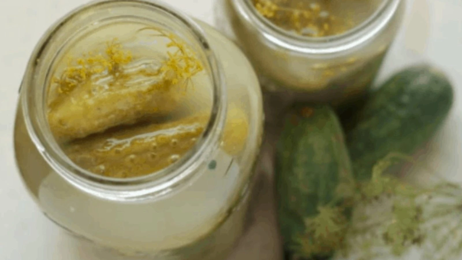 Turşu Suyu Neden Bulanık Olur?