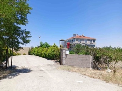 Tutukluk yapan silah 2 kişiyi yaraladı