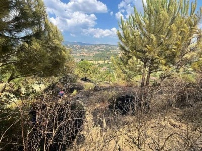 Seyyar elektrik kablosu tütün tarlasını yok etti