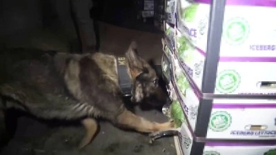 Tuzla’da uyuşturucu operasyonu: Sebze yüklü tırda 27,5 kilo uyuşturucu bulundu