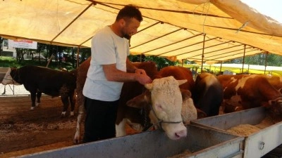 Diyarbakır'da dahil 81 ilde tüm hayvan pazarları kapatıldı