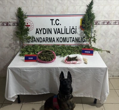 Uyuşturucu satıcısının evinde 498 gram skunk ele geçirildi